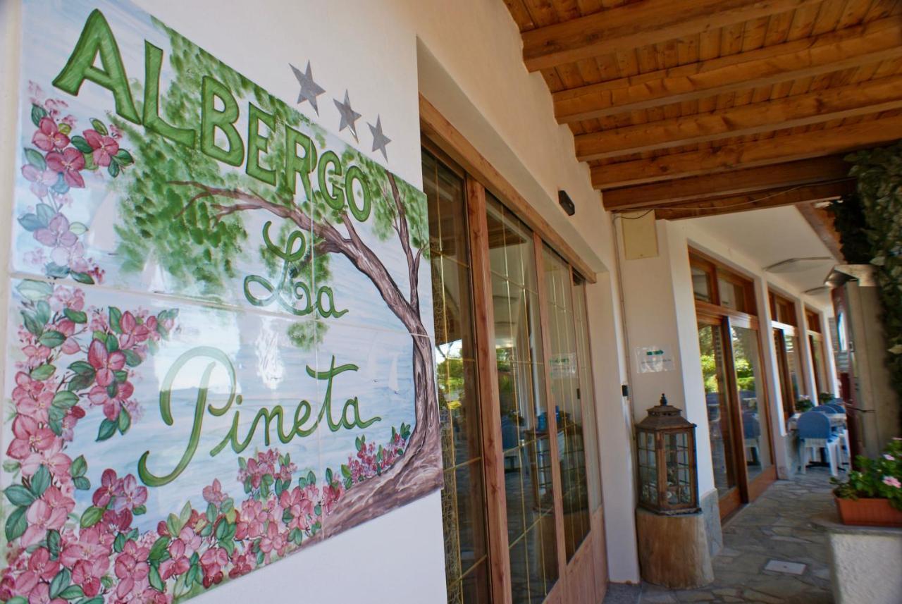 Albergo La Pineta Andora ภายนอก รูปภาพ